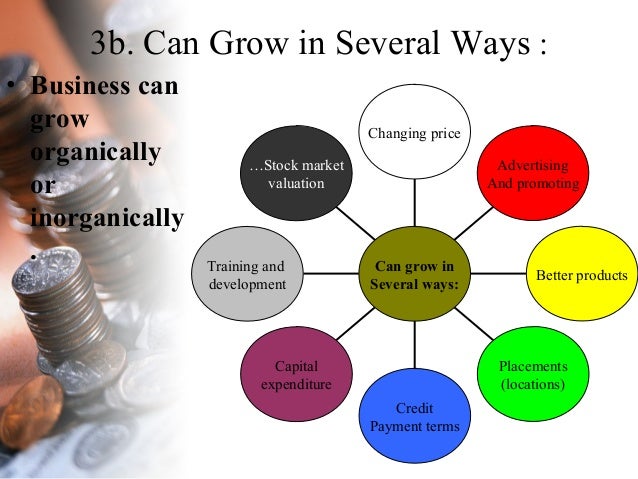 Growth, focus and evolution: How INGOs are changing the impact investing landscape